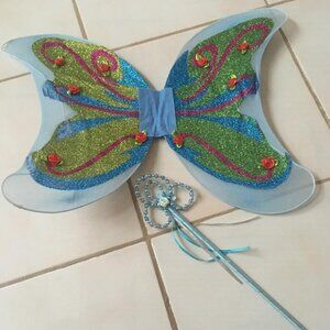 Fairy Princess Accessories